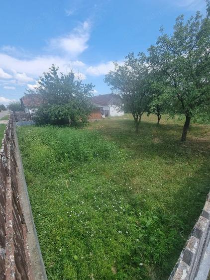 Casa + Teren de Vanzare URGENT, Micula, Satu Mare - 5