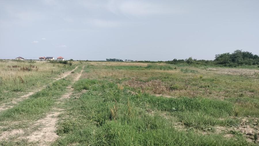 Vând teren in Mosnita - Calea Urseni 659 mp 130 euro+TVA - 4