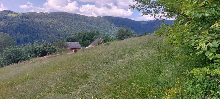 Teren de vis 2263 mp in Apuseni com. Horea, Alba | Priveliste superba - 4