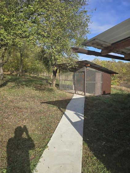 Casă cu 2 camere cu Teren 5000 Mp în Drăgășani