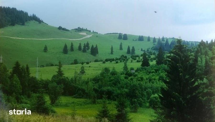 Teren de 24000 mp, în Voșlăbeni