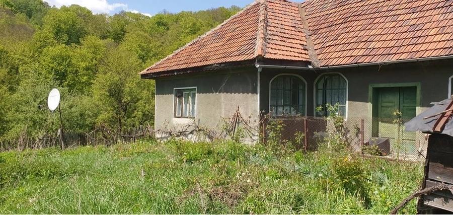Casă cu 3 camere cu Teren 20000 Mp în Central