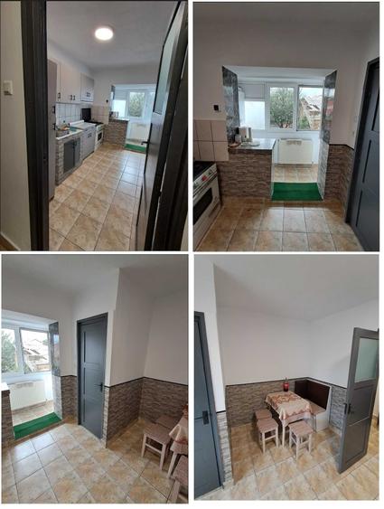 Apartament cu 2 camere decomandat în Botizului