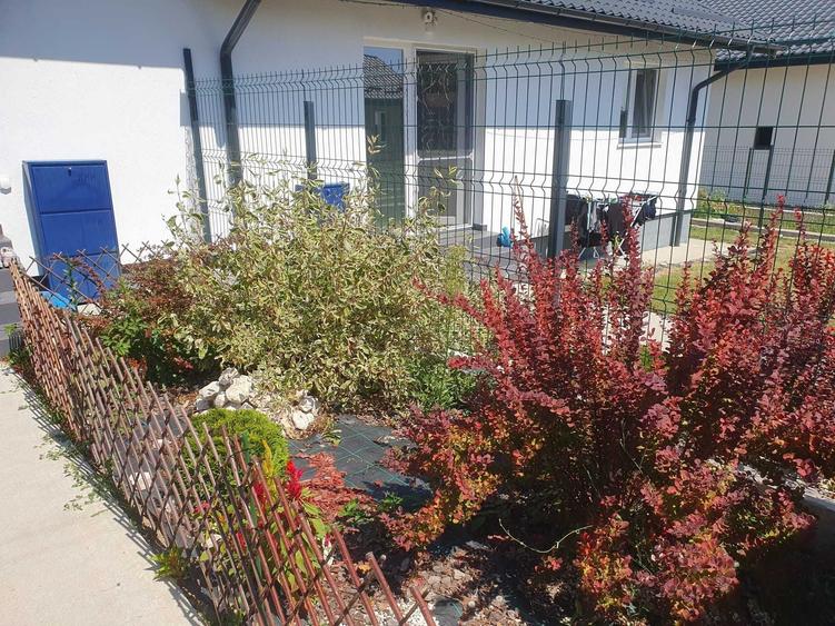 Casă cu 4 camere în Argeșelu