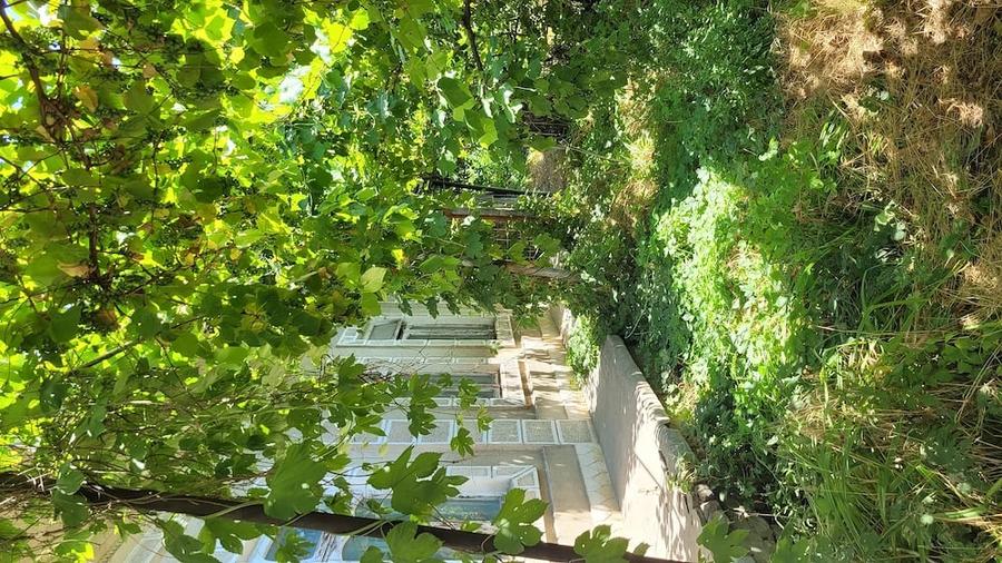 Casă cu Teren 332 Mp în Central