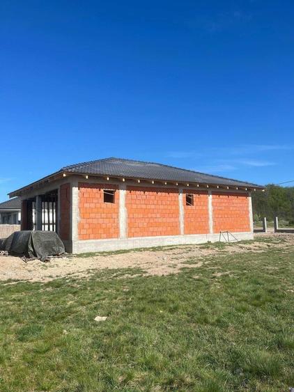 Casa 4 cam langa padure , Alparea - 3