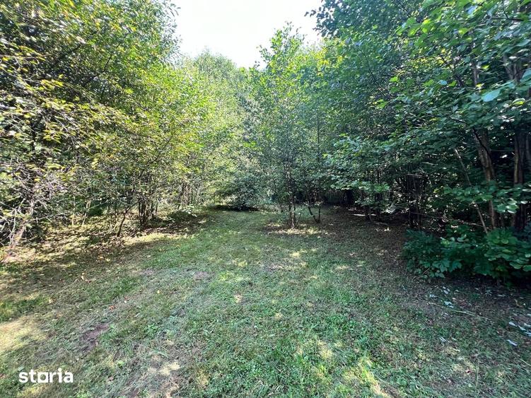 Casă cu 3 camere cu Teren 1000 Mp în Eremitu