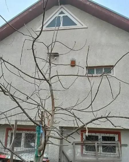 Casă cu 2 camere cu Teren 300 Mp în Central