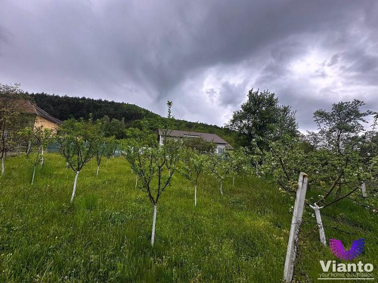 Casă individuală cu 3 camere cu Canalizare în Fântânele