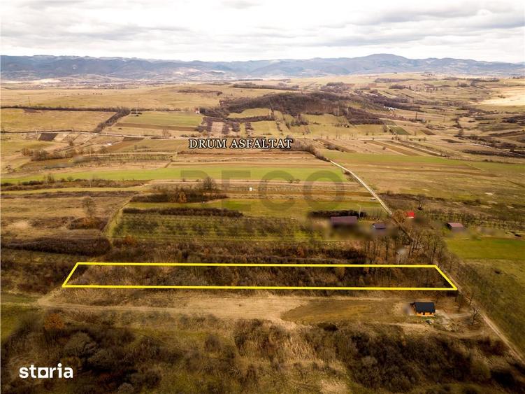 Teren de 5361 mp, în Vadu Crișului