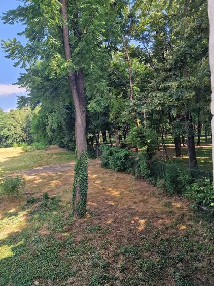 Apartament 1 camera-Gradina privata-Parcul Copou - 5