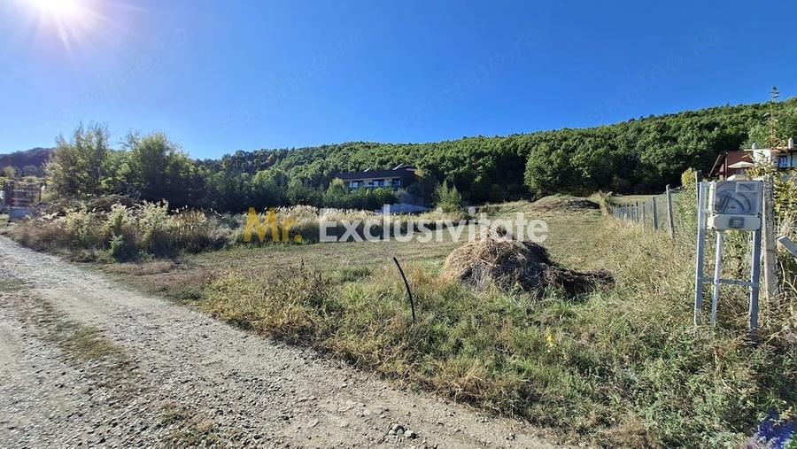 Teren de 2090 mp, în Golești (Ștefănești)