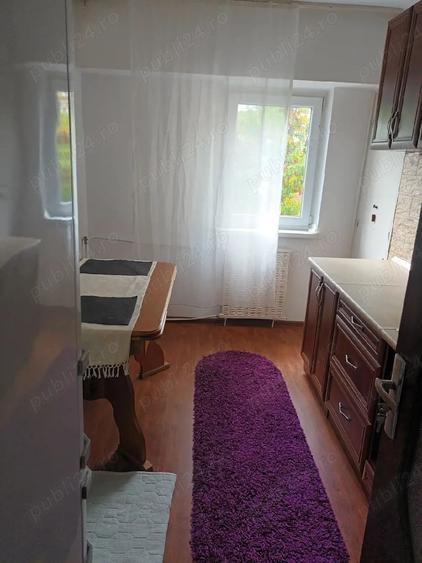 Apartament cu 2 camere decomandat în Craiovița Nouă
