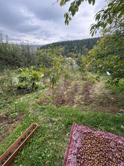 Teren Construcții intravilan de 556 mp, în Nord