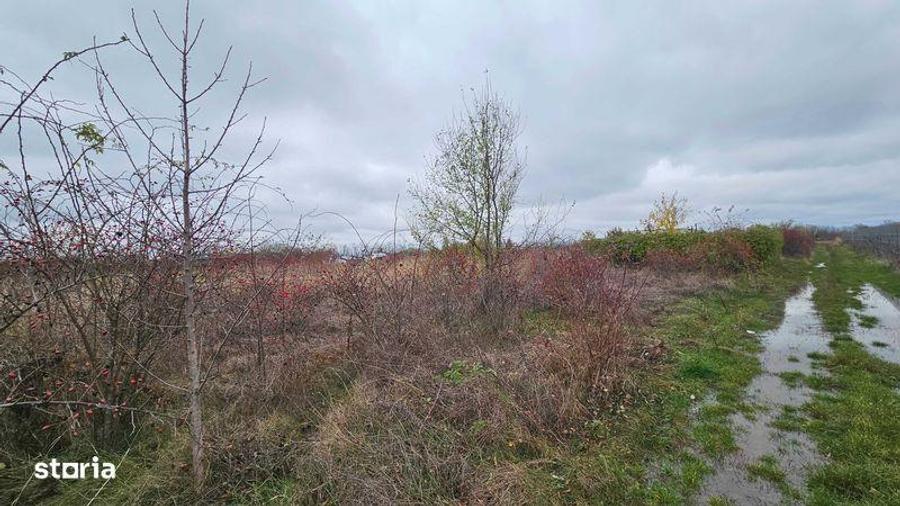 Teren de 500 mp, în Gruiu