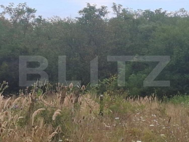 Teren de 7500 mp, în Șuța Seacă