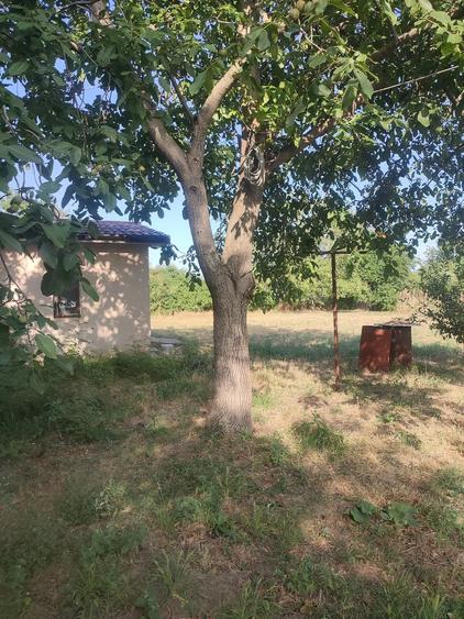 Teren de 905 mp, în Popricani