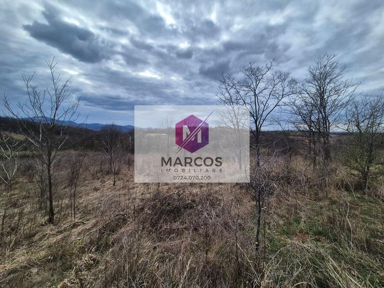 Teren agricol extravilan de 11400 mp, în Iabalcea