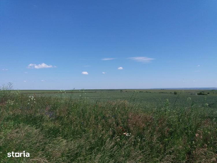 Teren de 4200 mp, în Tulucești