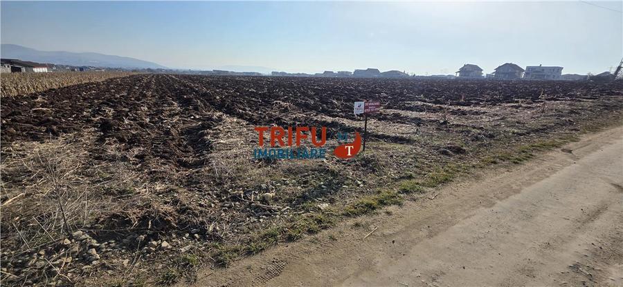 Teren Construcții intravilan de 2097 mp, în Ampoi 1