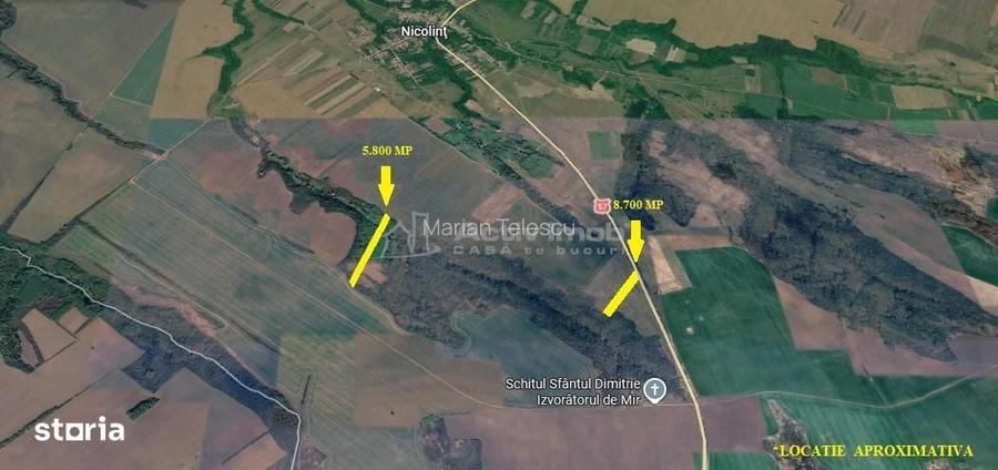 Nicolint, 2 Terenuri Extravilane, Arabil, 1.45 Hectare