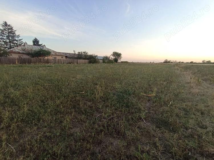 Teren de 2500 mp, în Copaciu