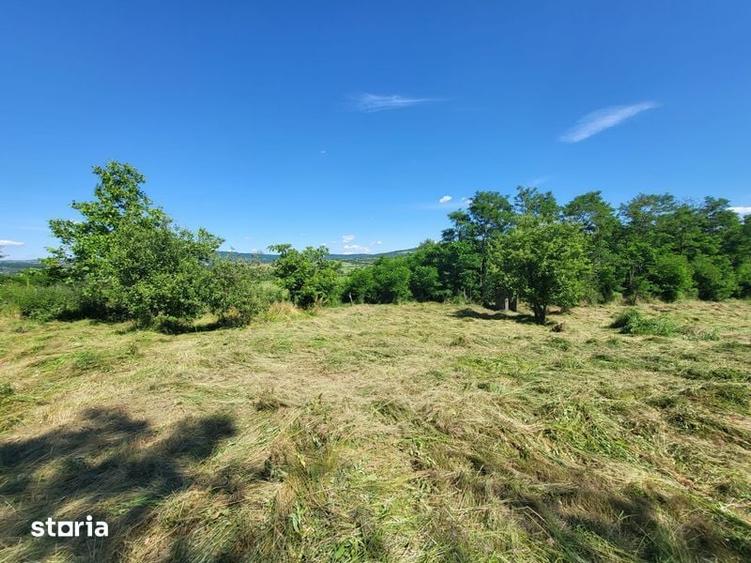 Direct proprietar Vand teren ciurea - 6