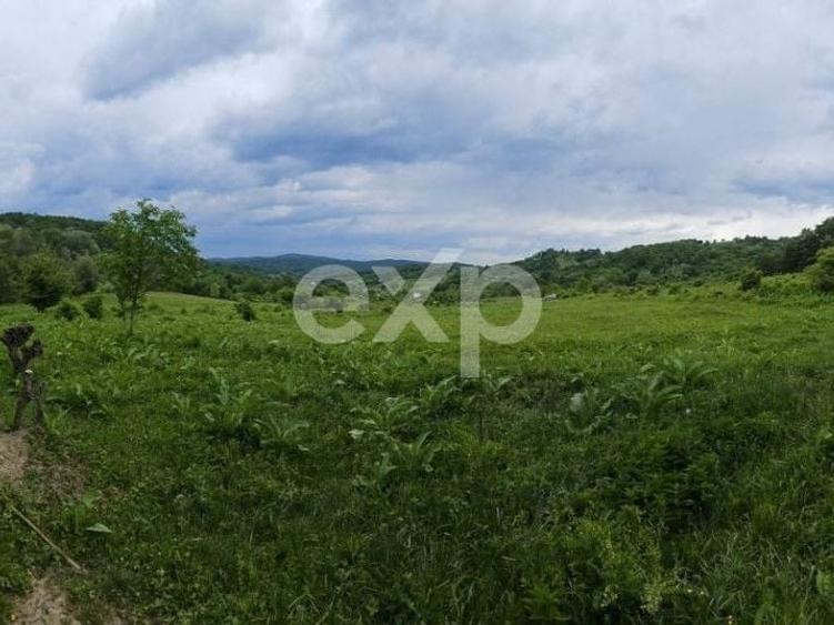 Teren agricol extravilan de 11935 mp, în Mărgineni