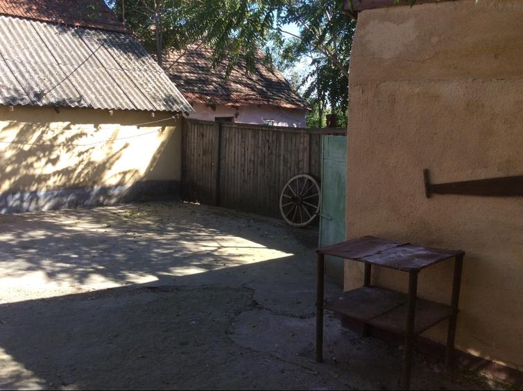 CASA IN RECAS, CENTRAL, CU TEREN MARE , DIVERSE OPORTUNITĂȚI - 12