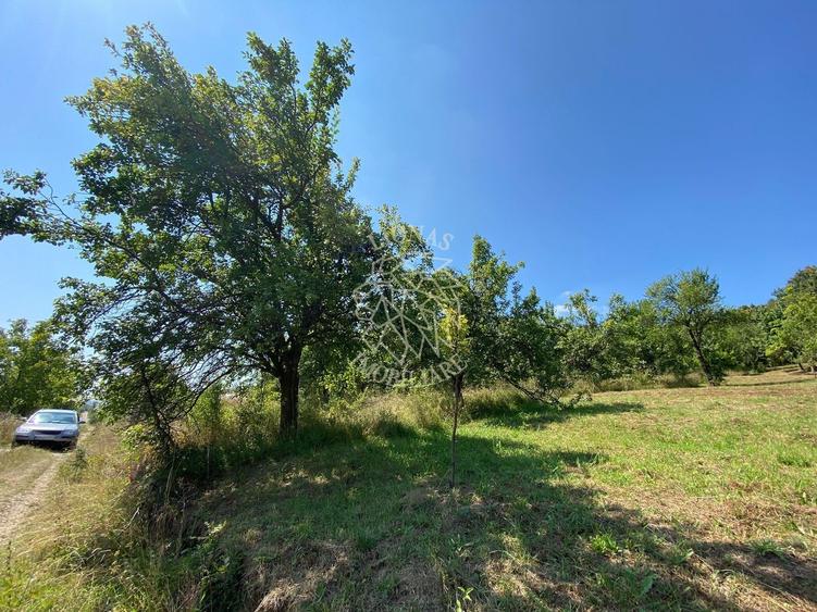 Teren Construcții intravilan de 1300 mp, în Nord