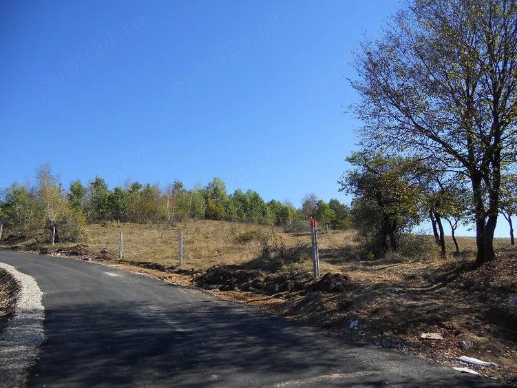 Teren de 4700 mp, în Ghelari