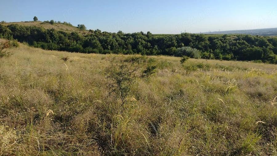 Teren de 17800 mp, în Bighilin