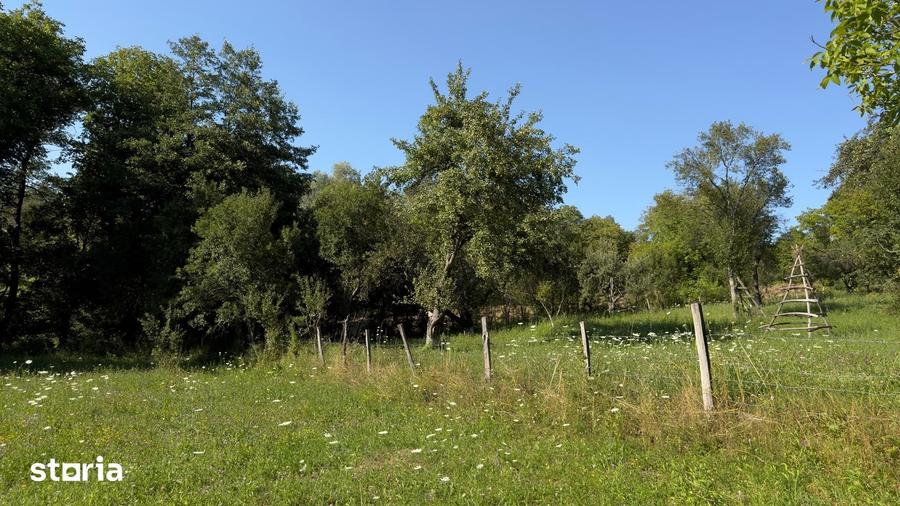 Teren Parau | Valea Danului, Curtea de Arges | Vidraru | - 5