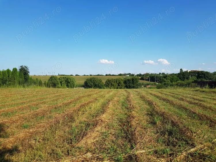 Teren de 3400 mp, în Dărăști-Vlașca