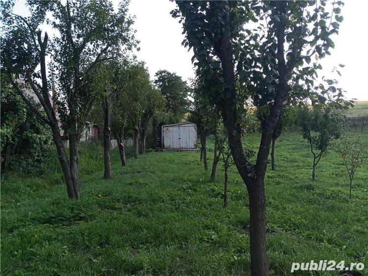 Teren de 11600 mp, în Câmpenești