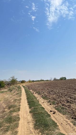 Teren de 10445 mp, în Cernica