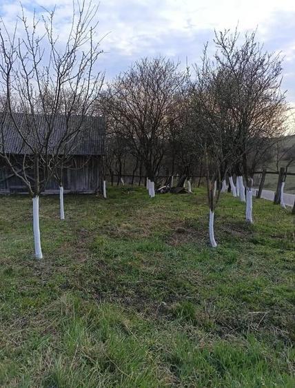 Casă cu Teren 2100 Mp în Orbău