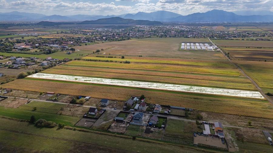 Teren Construcții intravilan de 15000 mp, în Bod