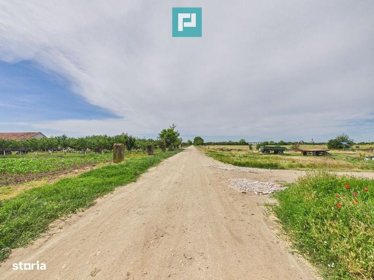 Teren extravilan in suprafata de 10.000 mp, Arad - 6