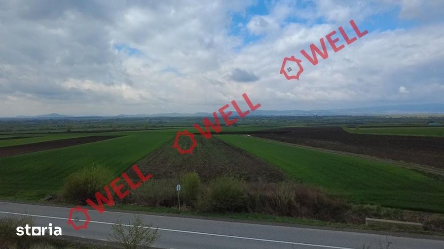 Teren de 5000 mp, în Ozun