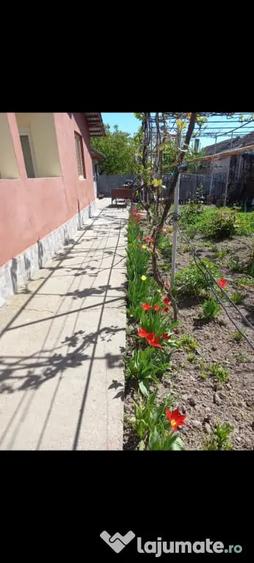Casă cu 3 camere în Central