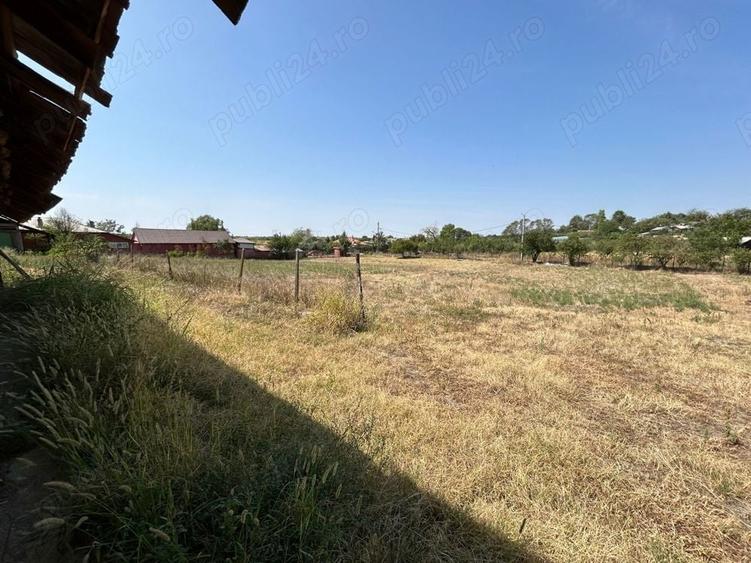 Casă cu 4 camere cu Teren 3000 Mp în Videle