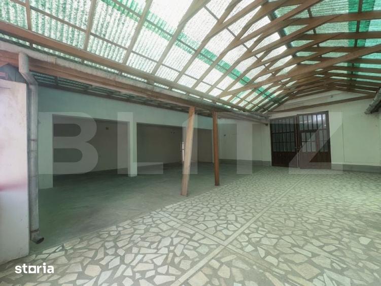 Casă cu Teren 1700 Mp în Rapoltu Mare