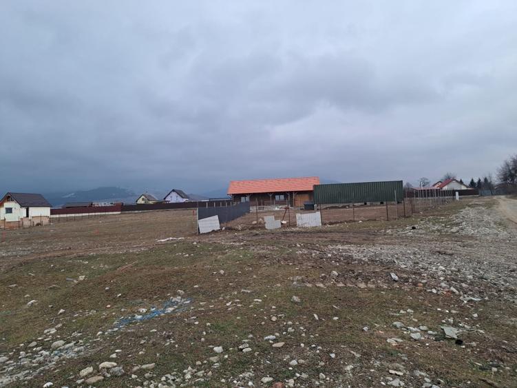 Teren Construcții intravilan de 1450 mp, în Tărlungeni