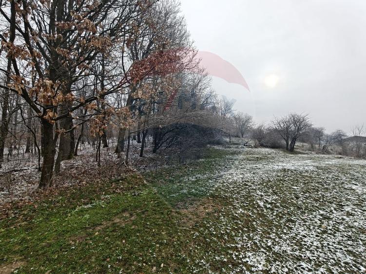 Teren Construcții intravilan de 5700 mp, în Sud-Vest
