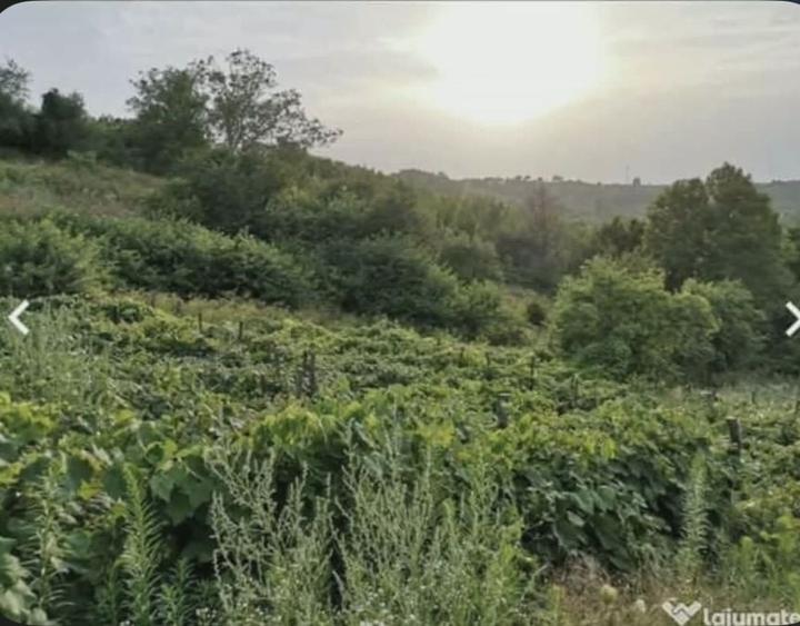 Casă cu 4 camere în Poiana