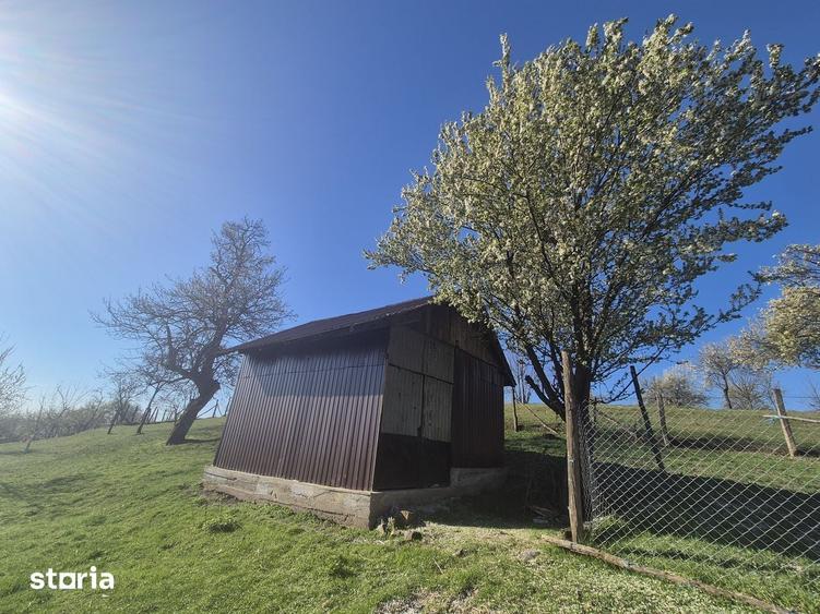 Casă cu 3 camere cu Teren 2586 Mp în Central