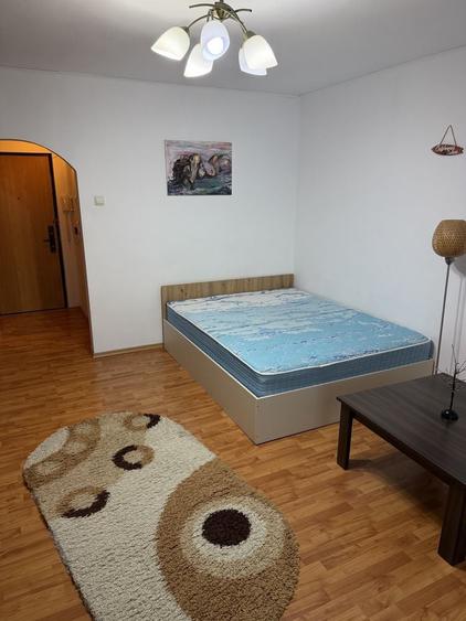 Garsonieră în Costin Georgian