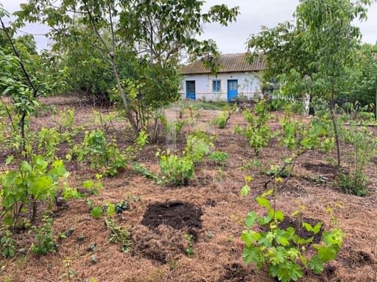 Teren Construcții intravilan de 2562 mp, în 23 August