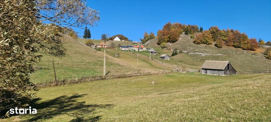 Cabana lemn cu mansarda + teren 2000MP - 1